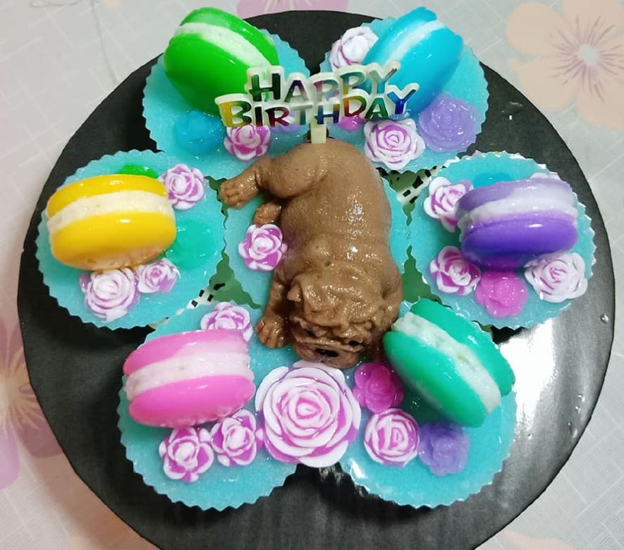 2 cavity Macaron Mould