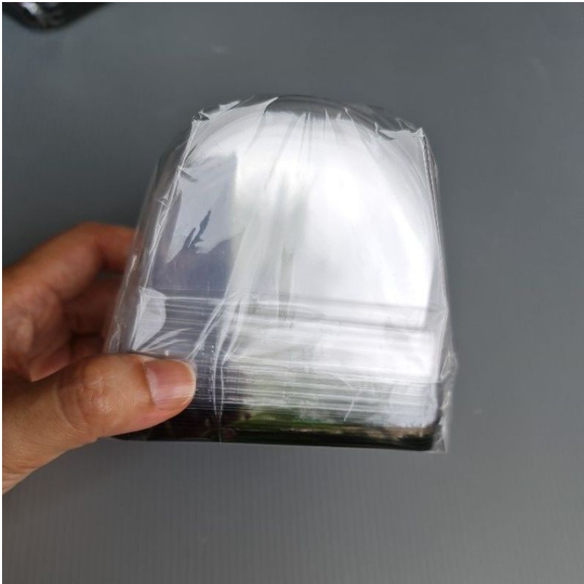 🔥 10pcs swiss roll slice log cake slices cake box semi-circle transparent tray