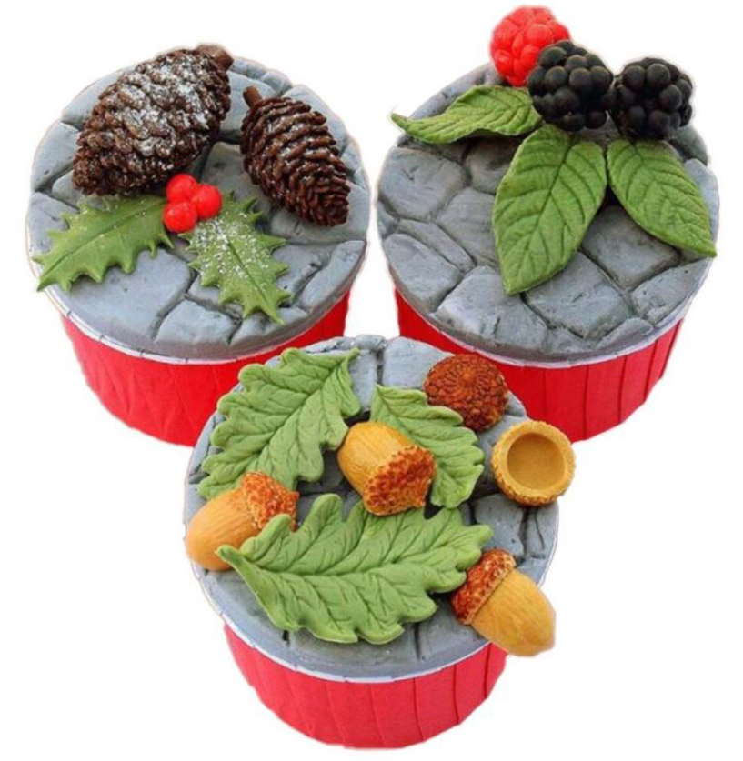 Blueberry raspberry silicone mould berries berry mold for cake decorating