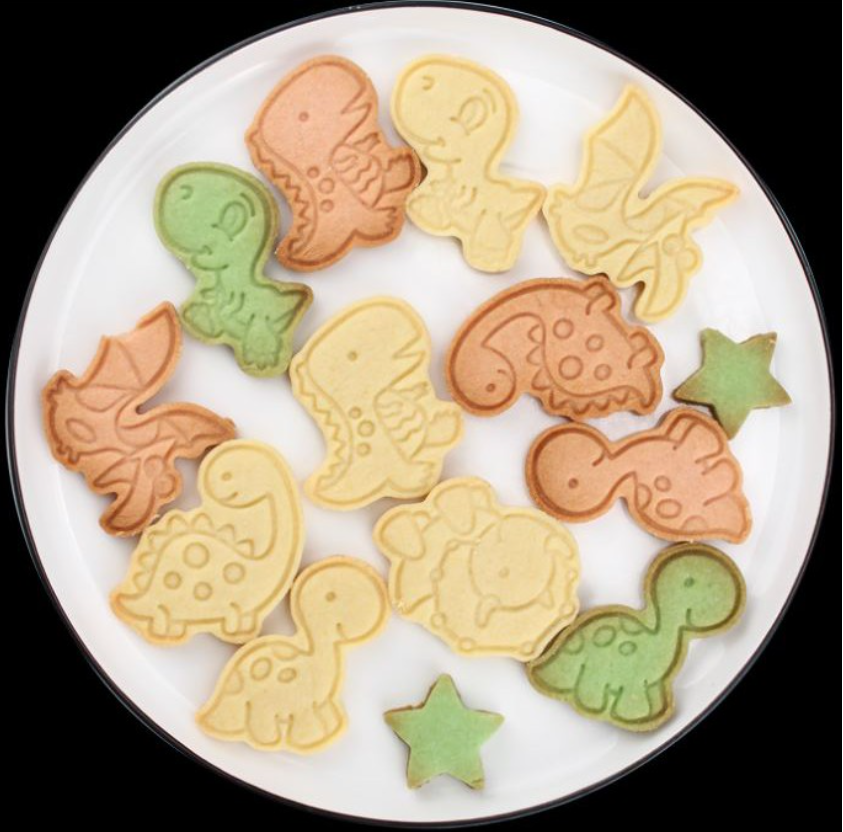 4pcs Dinosaur cookie cutter T-rex plunger cutter