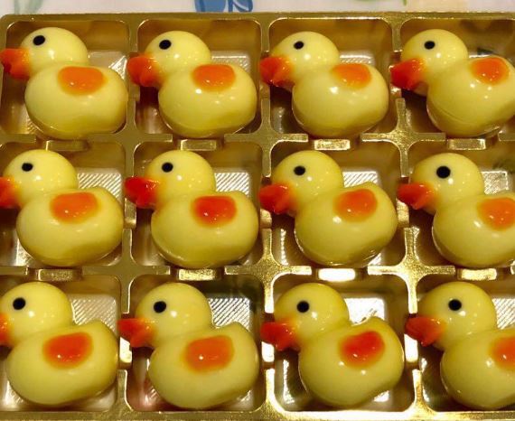 Duck mould - ducky jelly mould farm animal pudding mold
