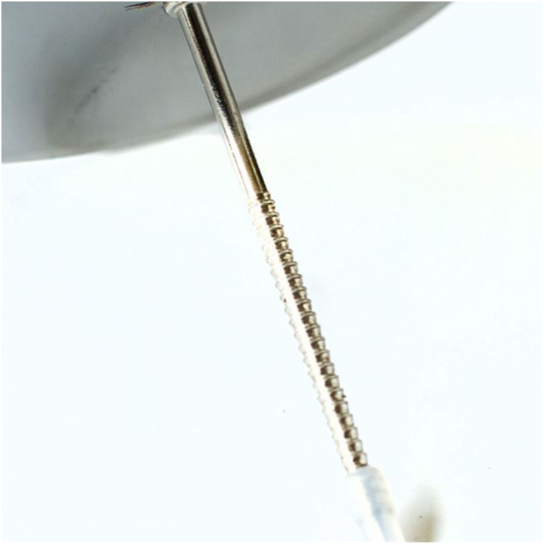 3pcs Flower nail piping nozzle tip piping flower stand