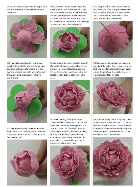 4pcs Peony gumpaste flower cutter open peony cutters for cake decorating