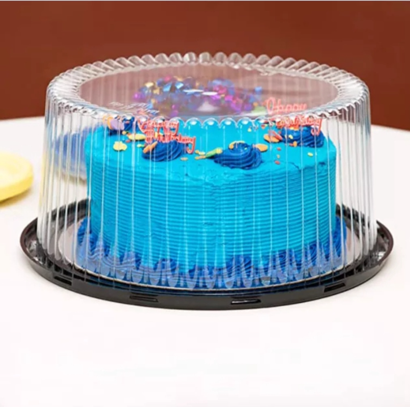 10pcs cake box chiffon cake container plastic packaging