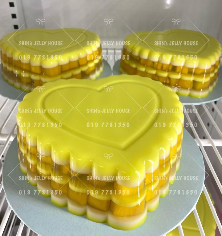 8 inch Heart jelly mould plastic pinata valentine love shape cake mold