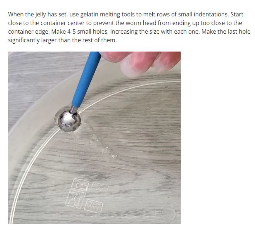 Modelling ball Tool Gelatin melting tool jelly art tool Set Baking Balls Tools Press Indent Smoother Rounder Circle