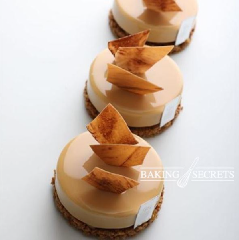 6 cavity cake mould mousse mould italian french dessert petite gateau round mousse tray
