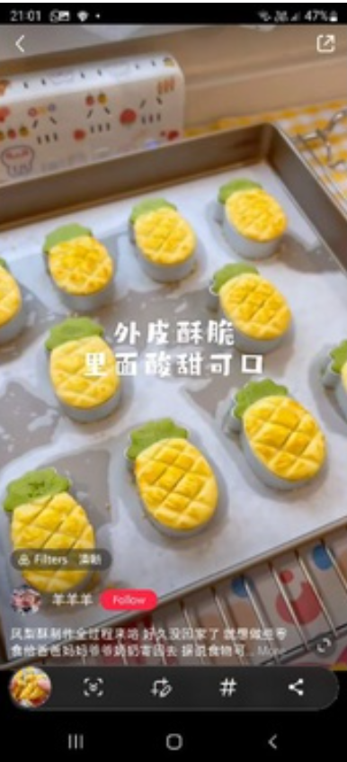 🇸🇬10pcs Pineapple tart mould - metallic presser & mold cutter set for making pineapple tart cookies cookie biscuit cut