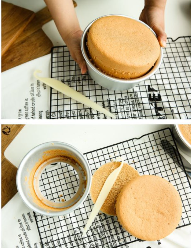 Cake separator tool extractor non-stick pan protector